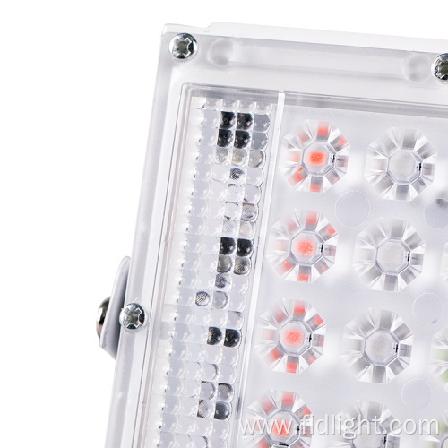 High power wintersweet outdoor smd led flood light